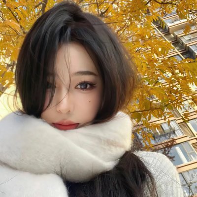 极秘搜查