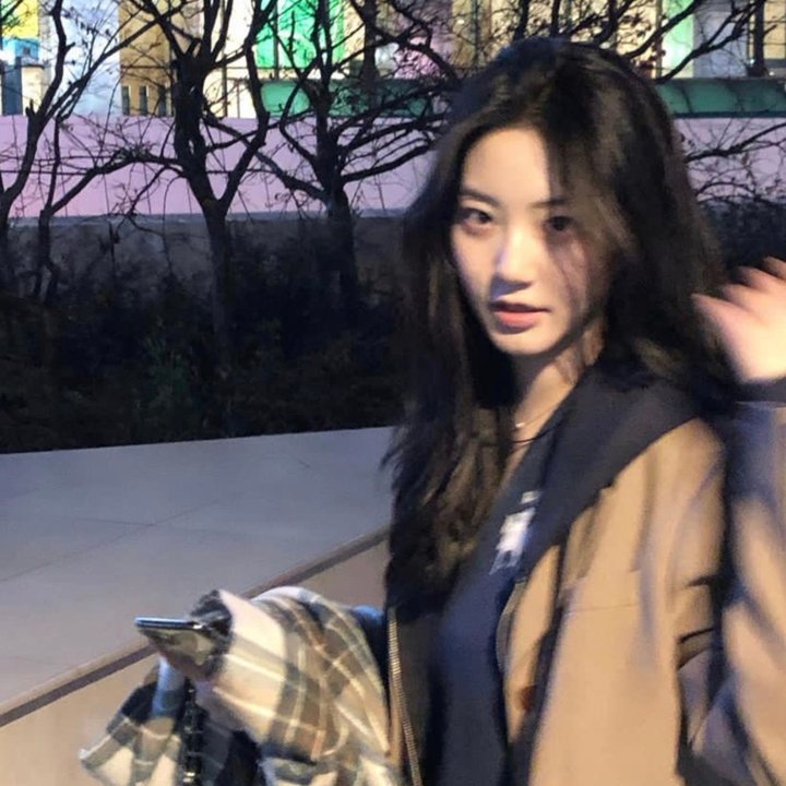 我的如意狼君国语
